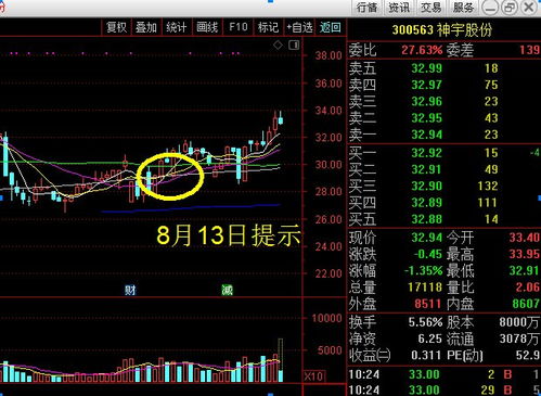 逆周期调节下的印钱放水模式 软件服务行业选股逻辑与个股思路大梳理